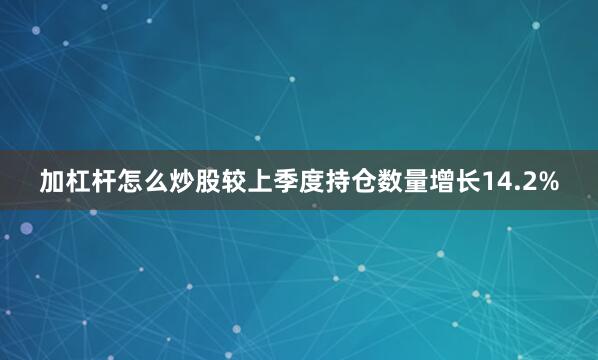 加杠杆怎么炒股较上季度持仓数量增长14.2%